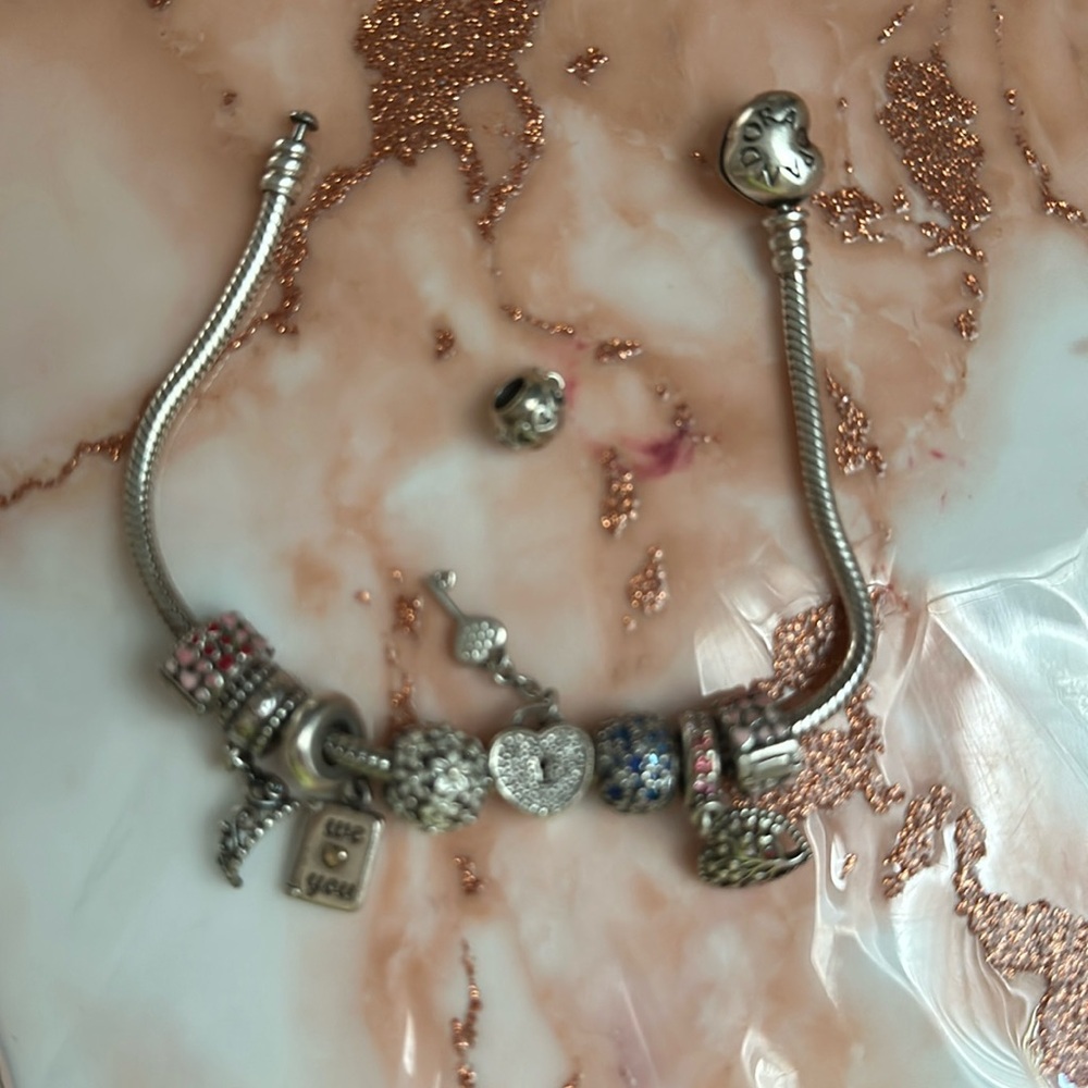Pandora bracelet with charms